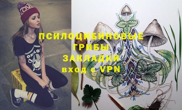 прущие крисы Вяземский