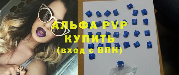 прущие крисы Горняк
