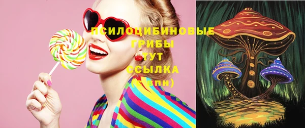 молекула духа Вязники